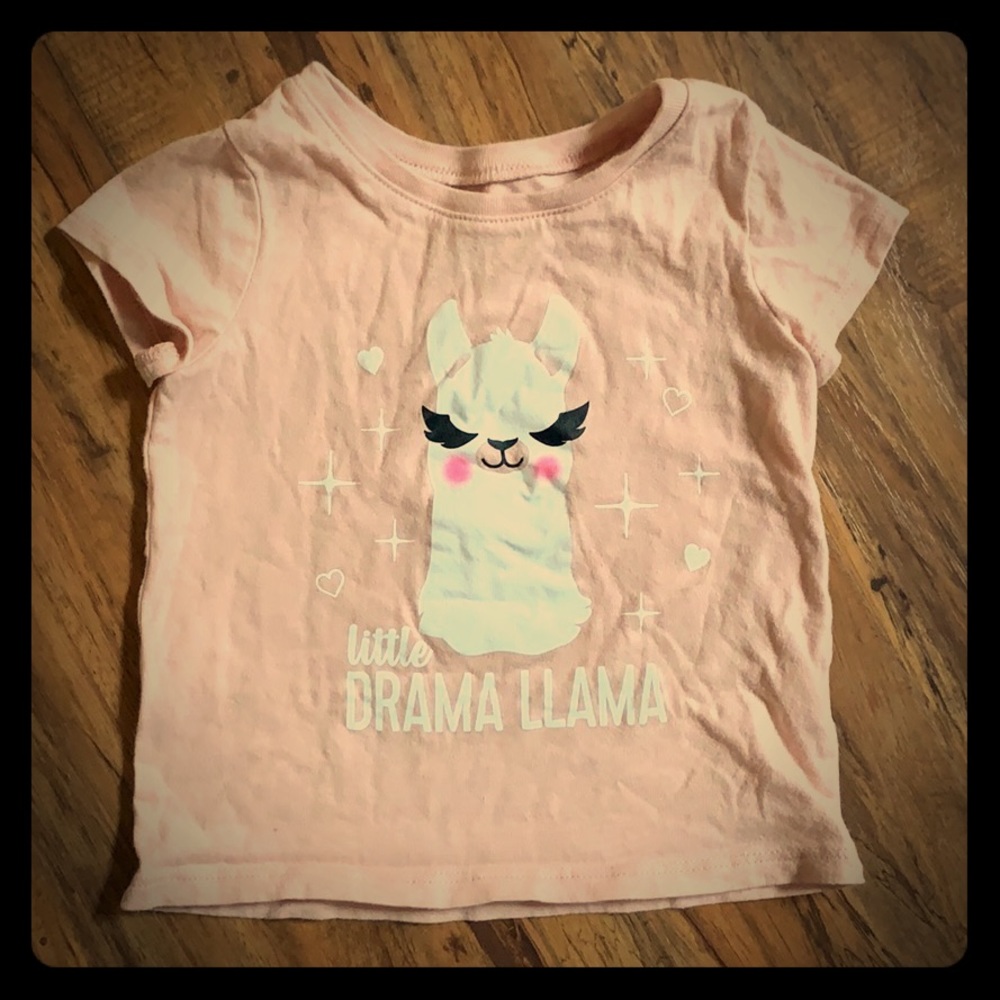5/$20 drama llama top